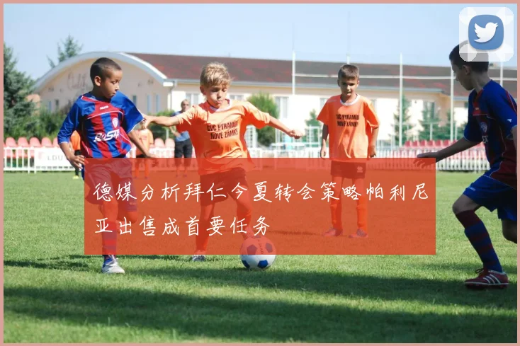 德媒分析拜仁今夏转会策略帕利尼亚出售成首要任务