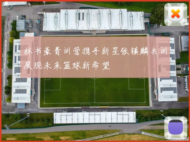林书豪青训营携手新星张镇麟共训展现未来篮球新希望