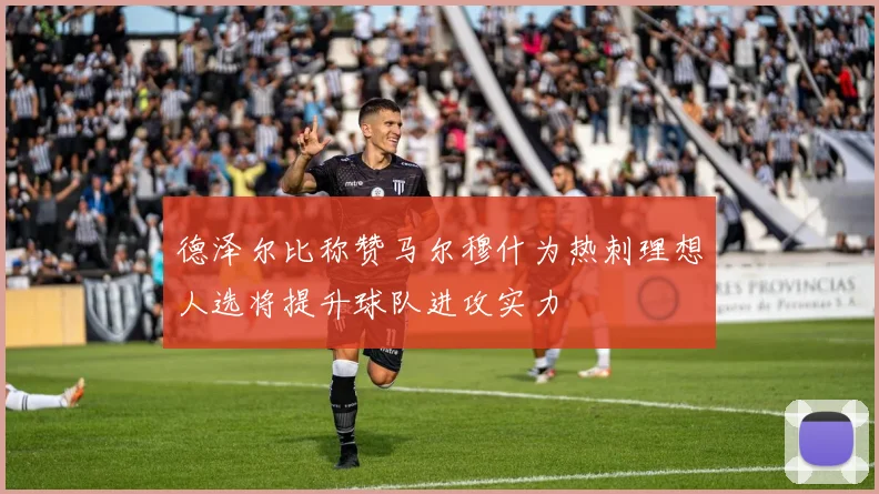 德泽尔比称赞马尔穆什为热刺理想人选将提升球队进攻实力